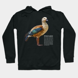 Orinoco goose tropical bird white text Hoodie